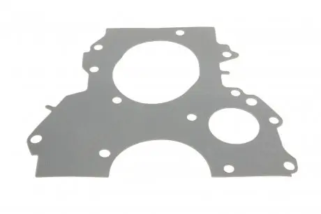 Прокладка натяжника цепи грм ford connect 1.8 tdci 02-13 Dp group ES 81012 ARI