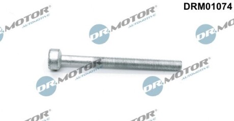 Болт із фігурною головкою DR.MOTOR DRM01074