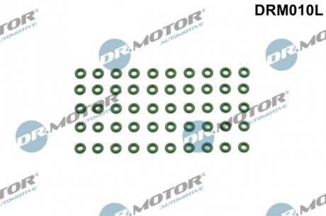 Форсунки паливні DR.MOTOR DRM010L