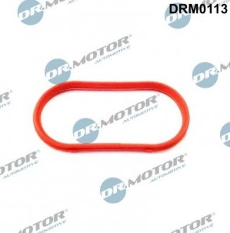 Прокладання впускного колектора DR.MOTOR DRM0113