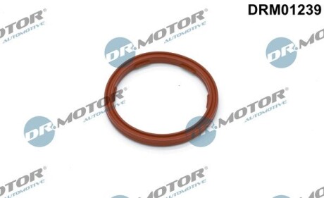 Автозапчастина DR.MOTOR DRM01239