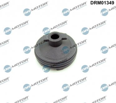 Пробка піддону DR.MOTOR DRM01349