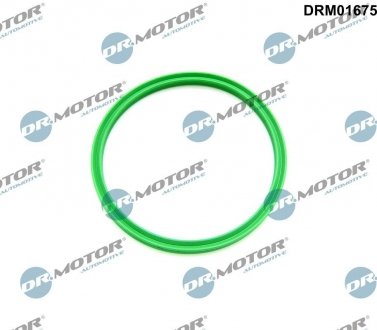 Ущільнююче кільце DR.MOTOR DRM01675 (фото 1)