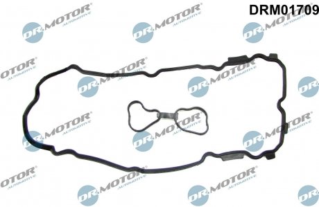 Комплект прокладок резиновых DR.MOTOR DRM01709