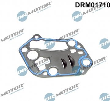 Прокладка корпуса масляного фильтра DR.MOTOR DRM01710