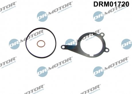 Комплект прокладок із різних матеріалів DR.MOTOR DRM01720 (фото 1)