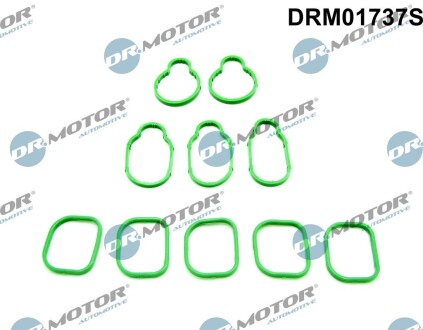 Прокладання впускного колектора DR.MOTOR DRM01737S