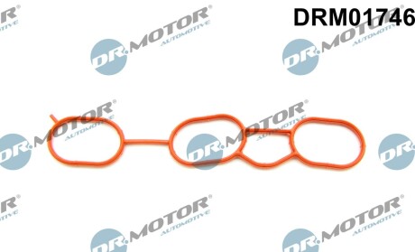 Прокладання впускного колектора DR.MOTOR DRM01746