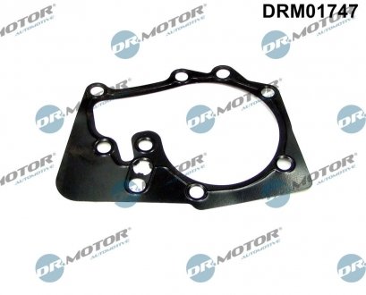 Прокладка двигуна металева DR.MOTOR DRM01747