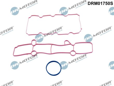 Комплект резиновых прокладок. DR.MOTOR DRM01750S (фото 1)