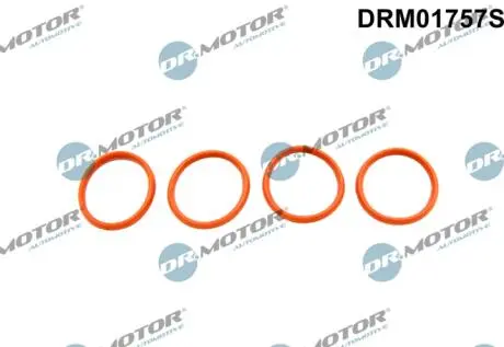 Прокладка впускного коллектора DR.MOTOR DRM01757S