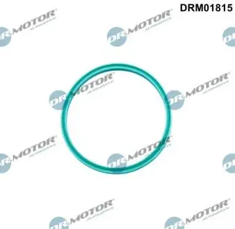 Кольцо уплотнительное DR.MOTOR DRM01815