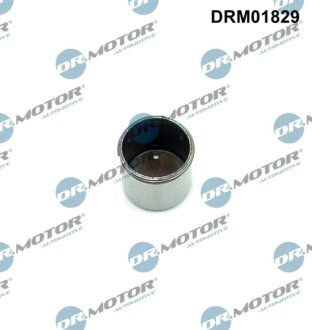 Елемент ТНВД DR.MOTOR DRM01829