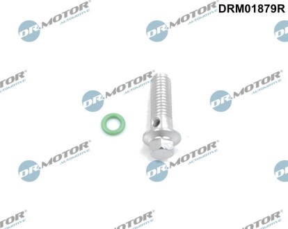 Болт banjo DR.MOTOR DRM01879R