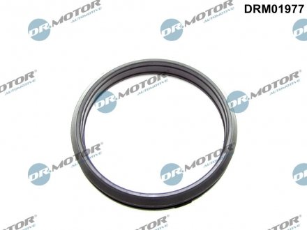 Кольцо резиновое DR.MOTOR DRM01977 (фото 1)