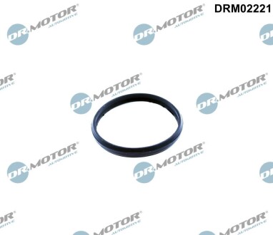 Кільце ущільнювальне DR.MOTOR DRM02221