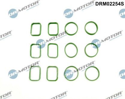 Комплект резиновых прокладок. DR.MOTOR DRM02254S