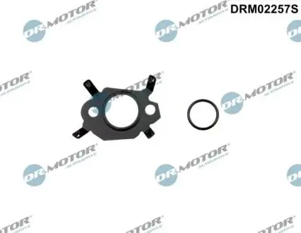 Прокладка клапана рециркуляции к-т DR.MOTOR DRM02257S