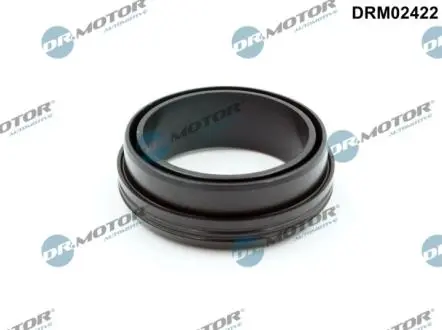 Кольцо резиновое DR.MOTOR DRM02422