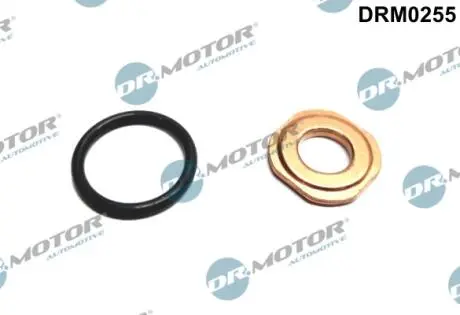 Ремкомплект форсунки 2 елементи DR.MOTOR DRM0255