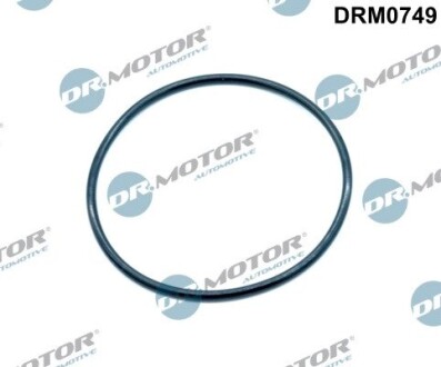 Прокладка клапана egr DR.MOTOR DRM0749