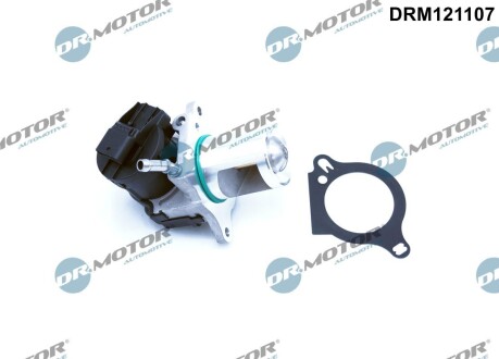 Клапан рециркуляции газов DR.MOTOR DRM121107