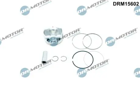 Поршень з поршневими кільцями DR.MOTOR DRM15602
