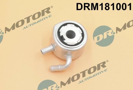 Радиатор масляный с прокладкой. DR.MOTOR DRM181001