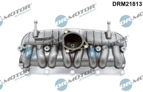 Впускной коллектор DR.MOTOR DRM21813