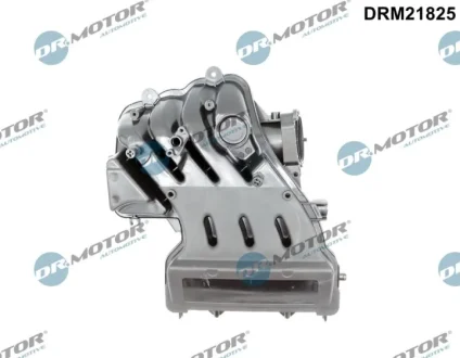 Коллектор впускной DR.MOTOR DRM21825