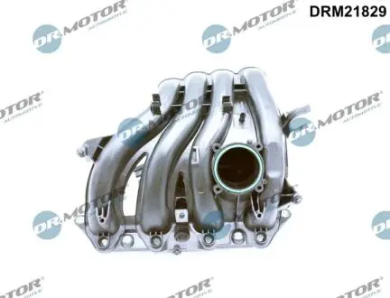 Коллектор впускной DR.MOTOR DRM21829
