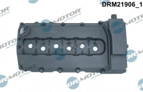 Кришка головки циліндра пластмаса DR.MOTOR DRM21906 (фото 1)