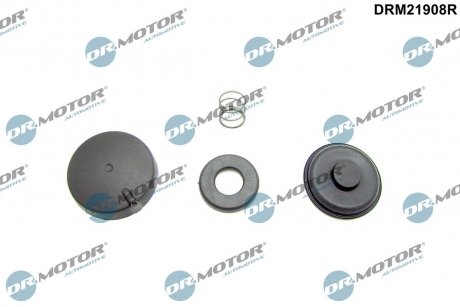 Комплект прокладок з різних матеріалів DR.MOTOR DRM21908R (фото 1)
