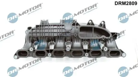 Впускной коллектор DR.MOTOR DRM2809