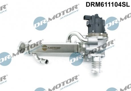 Клапан рециркуляції з agr-радіатором DR.MOTOR DRM611104SL