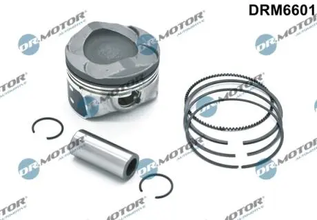 Комплект поршня ford ecoboost DR.MOTOR DRM6601