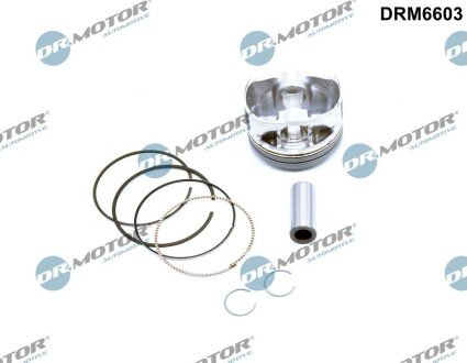 Поршень с поршневыми кольцами DR.MOTOR DRM6603