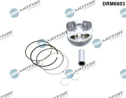 Поршень с поршневыми кольцами DR.MOTOR DRM6603