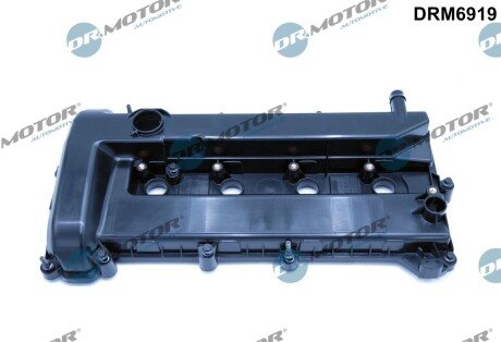 Кришка головки цилiндра Ford FOCUS II/C-MAX (DM2) 03- DR.MOTOR DRM6919