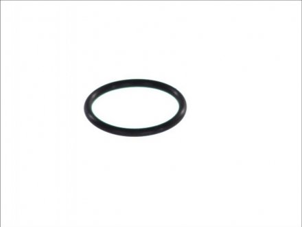 Уплотнительное кольцо DT 2.10327 (фото 1)