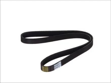 Дорожковый ремень 6pk1067 DT 6.31511