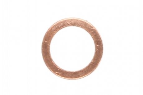 Уплотнительное кольцо, резьбовая пр. DT 9.01028 (фото 1)
