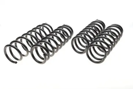 Комплект ходової частини, пружини EIBACH E10-20-018-01-22