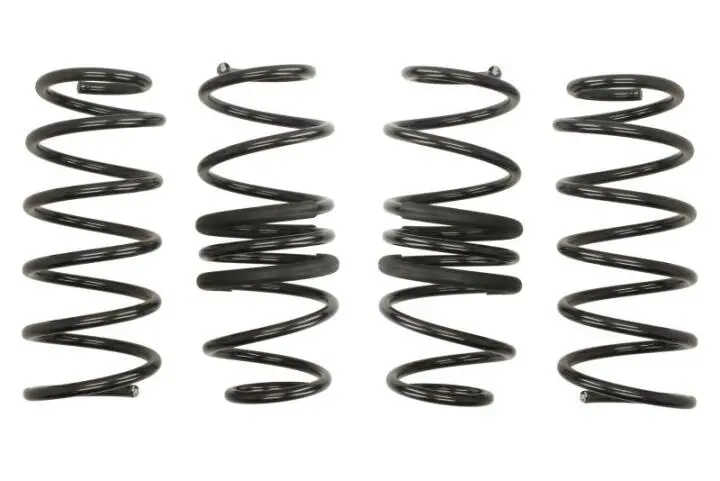 Комплект ходовой части. EIBACH E10600110122 (фото 1)