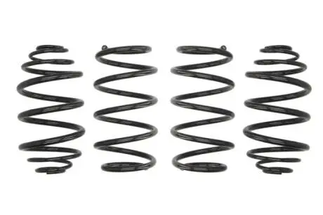 Комплект занижених пружин EIBACH E10650010122