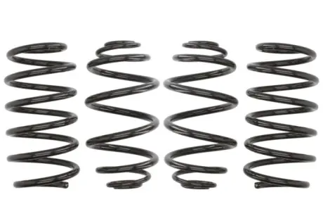 Комплект занижених пружин EIBACH E10650110122
