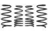 Комплект заниженных пружин EIBACH E10650150222 (фото 1)