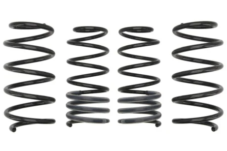 Комплект заниженных пружин EIBACH E10650150222