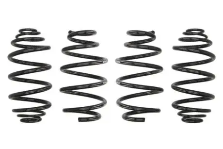 Комплект ходової частини. EIBACH E10650200222