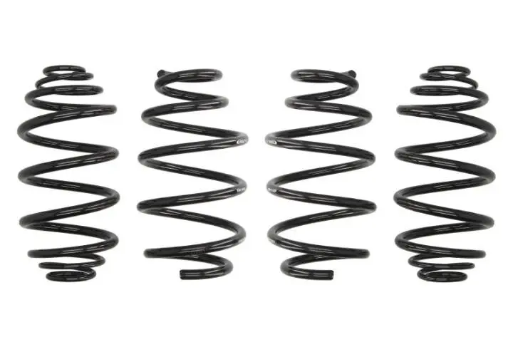 Комплект ходової частини. EIBACH E10650200222 (фото 1)